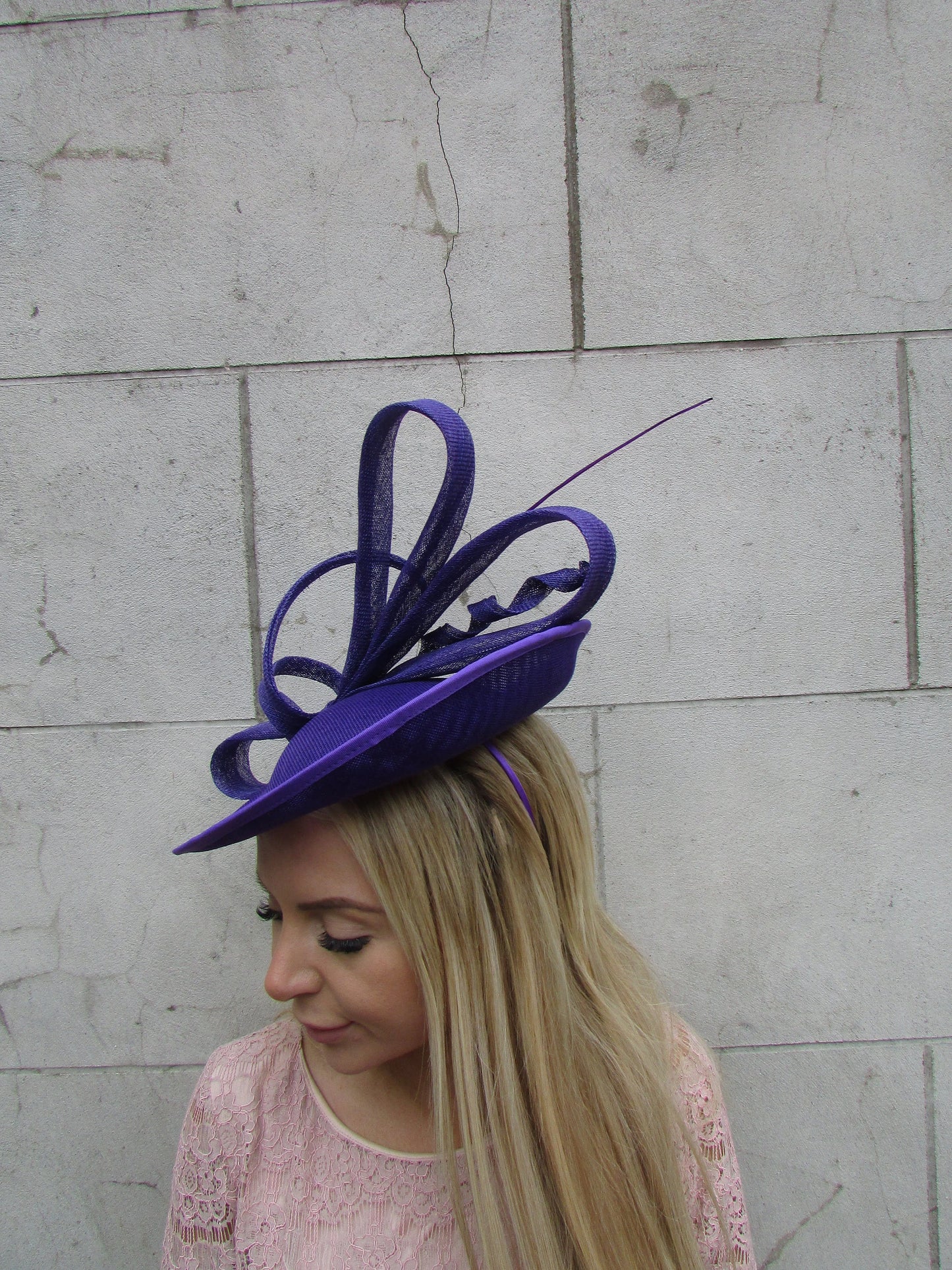 Large Purple Disc Hatinator